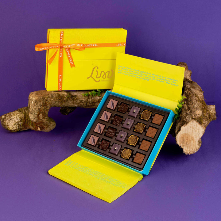 Praline & Ganache Box of 20
